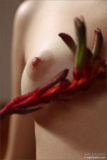 Эротическая фотосессия юной девушки с аленьким цветочком 